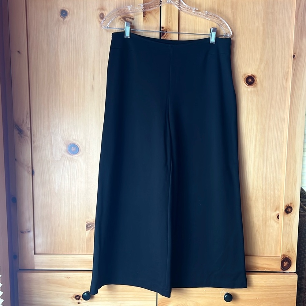 Jarbo cropped wide leg pant black, size 40, US 6/8 NWOT